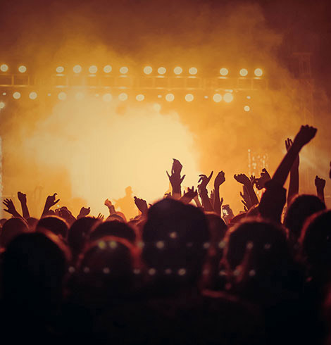 Silhouette of a crowd at a concert