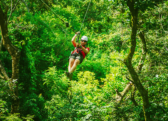 person zip-lining in the trees
