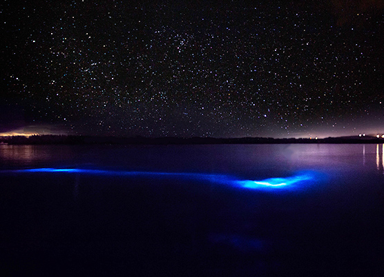 water illuminated at night
