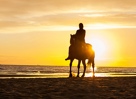 a person horseback riding on the beach at sunset