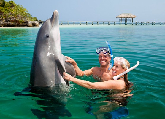 2 people in the ocean holding a dolphins fins 