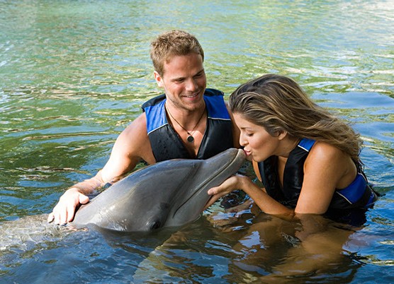 a woman kissing a dolphin and a man petting the dolphin