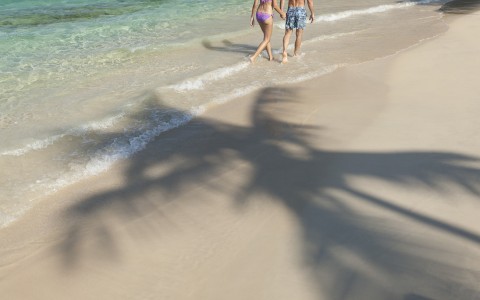 A Stroll on the Beach A Stroll on the Beach