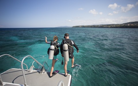 Unlimited PADI-Certified Scuba Diving Unlimited PADI-Certified Scuba Diving