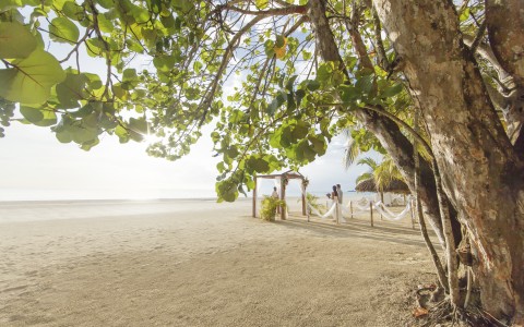 Your Dream Day Begins Here Your Dream Day Begins Here
