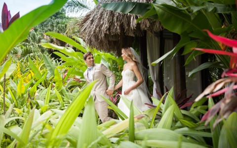 Say "I Do" in Paradise Say "I Do" in Paradise