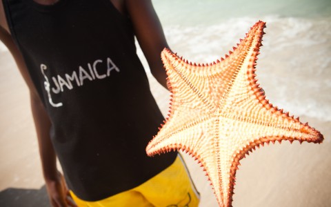 Starfish Dreams Starfish Dreams