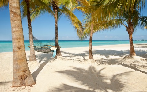 Hangout in A Hammock at Couples Swept Away Hangout in A Hammock at Couples Swept Away