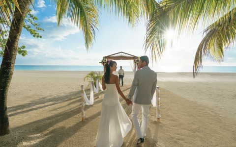 Say "I Do" in Paradise Say "I Do" in Paradise