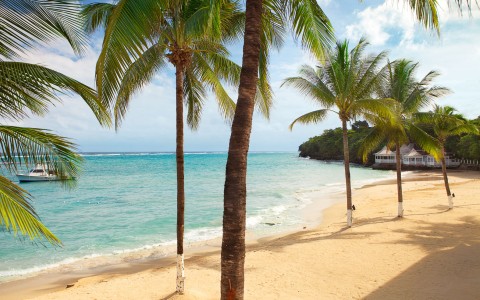 Stretch Out on The Sand Stretch Out on The Sand