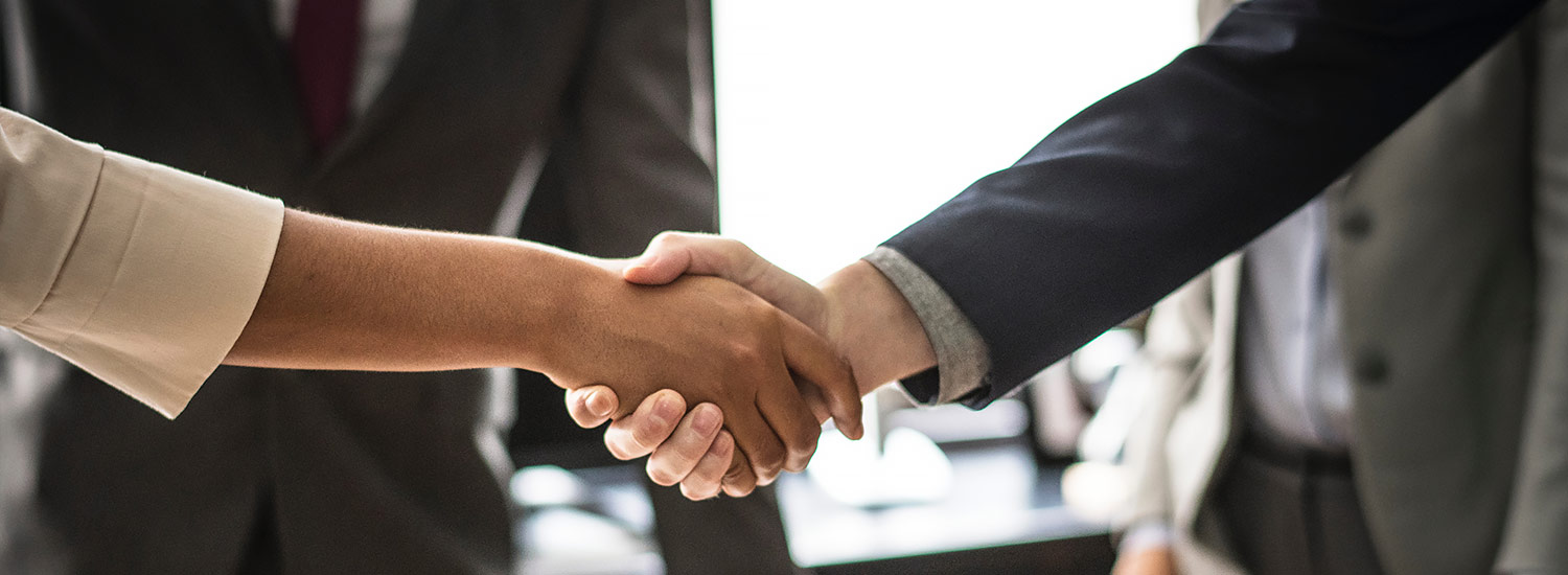 two business people shaking hands