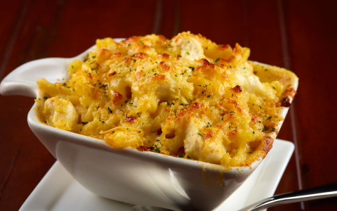 Macaroni and cheese with toasted bread crumbs on top