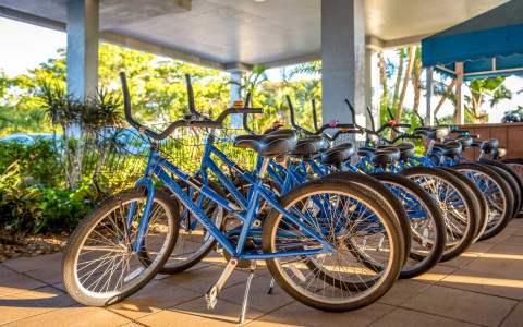 Row of blue bicycles lined up on pavement