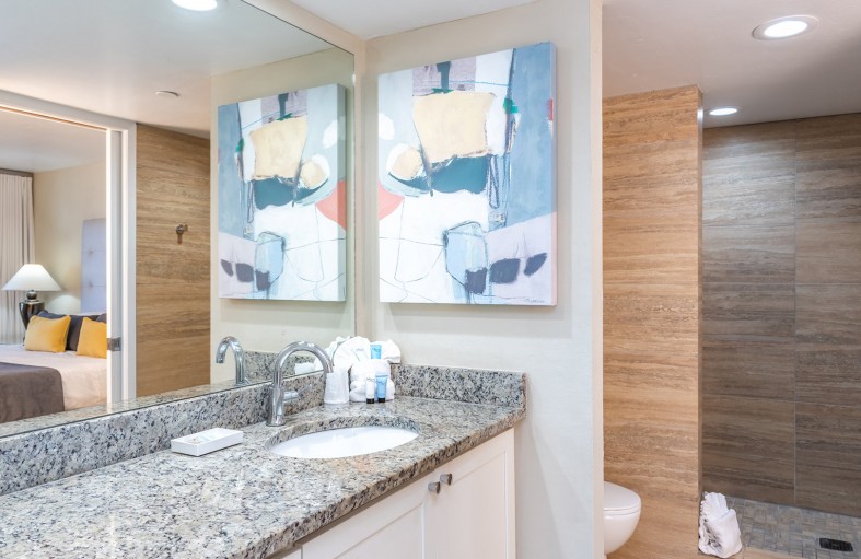 bathroom with mirror, granite counters, sink, and paintings and view of shower 