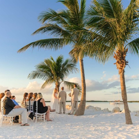 guests sitting on the beach watching a wedding