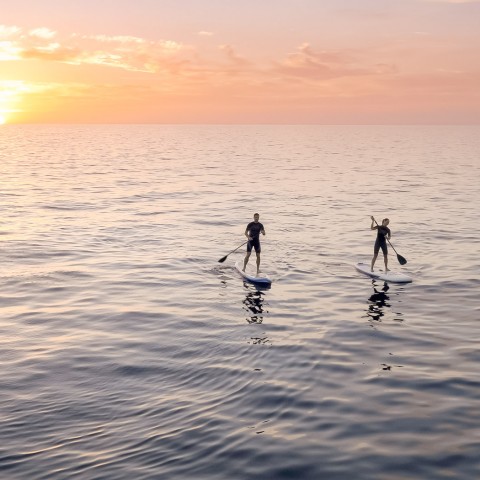 two people stand up paddleboarding