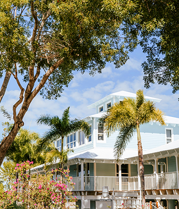 blue villa seen from behind palm leaves