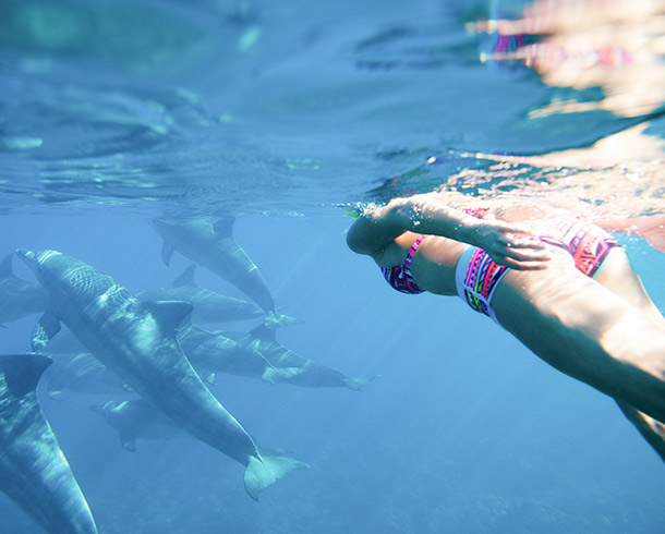 woman in colorful bikini swimming with dolphins