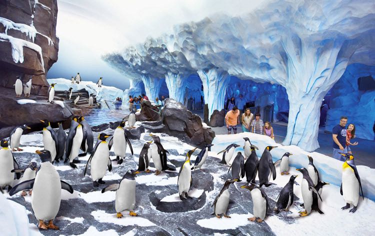 Official SeaWorld Resort
