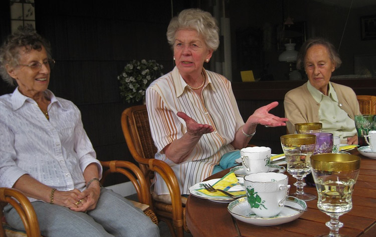 Grandma Party Inset