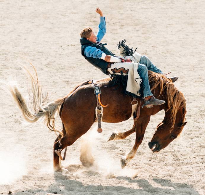 cowboy riding horse in rodeo