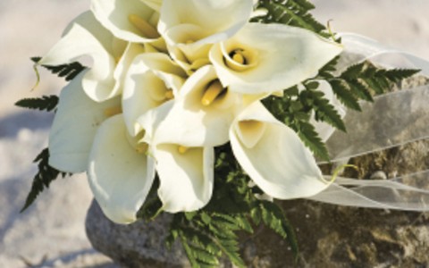 bridal calla lily bouquet on rocks and sand