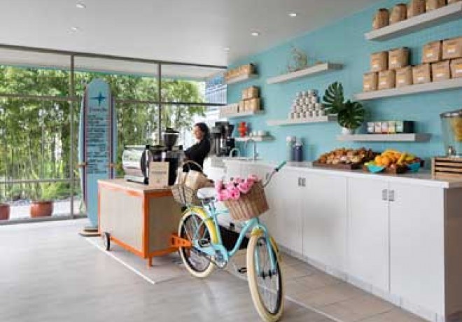 little cute coffee shop with blue wall, floating shelves and a beach cruiser bike with flowers in handlebar basket