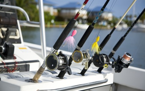 up close of four fishing poles 