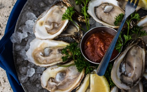 oysters on the half shell with lemon and cocktail sauce
