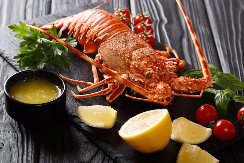 Mini Lobster Season