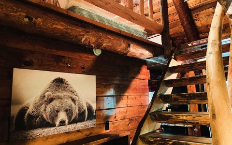 cute bear canvas next to steps