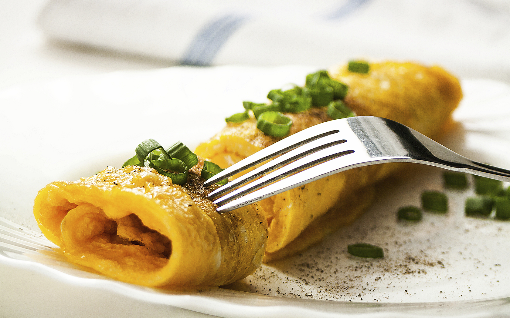 plated omlette