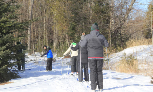 Four people skiing in the snow