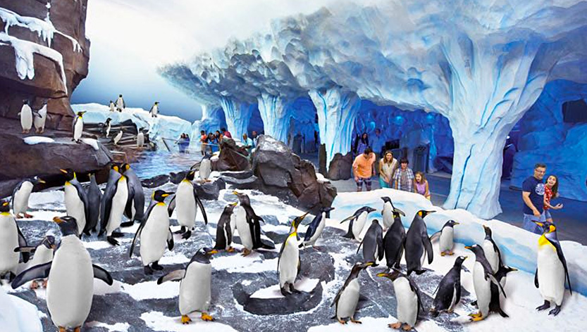 Official SeaWorld Hotel