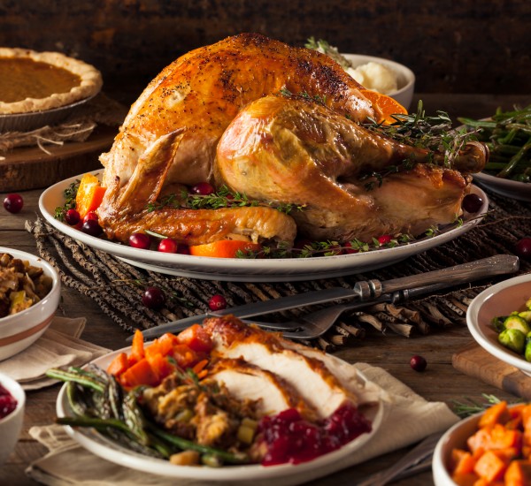 big cooked turkey