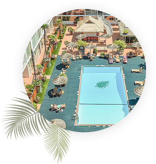 ElTropicano Accessibility Overview