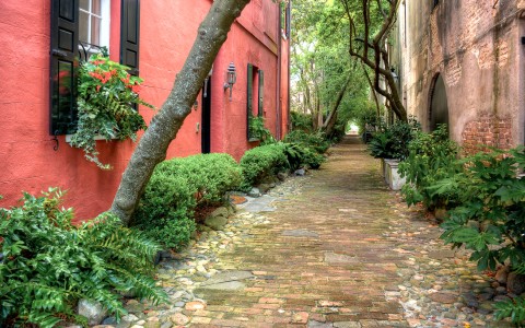 side street alley