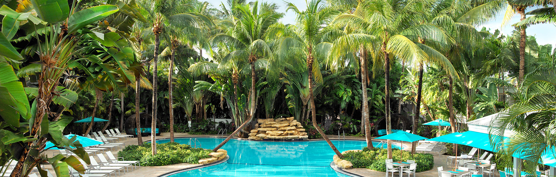 view of an outdoor pool surrounded by many palm trees