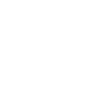 tides beach club maine logo