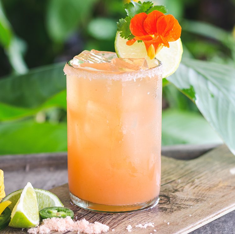 orange cocktail