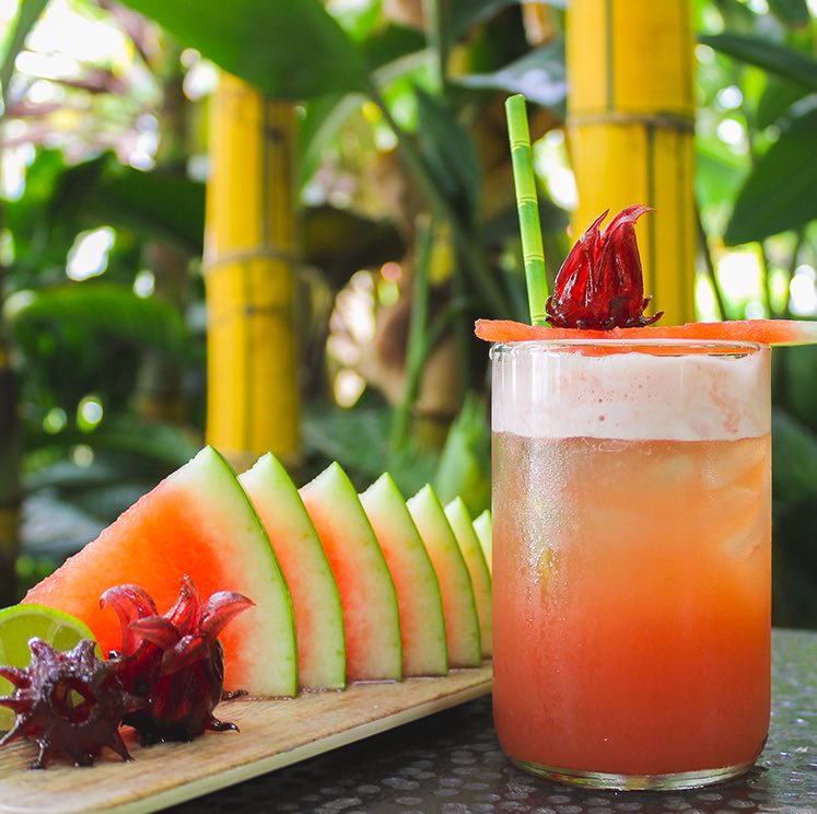 orange cocktail