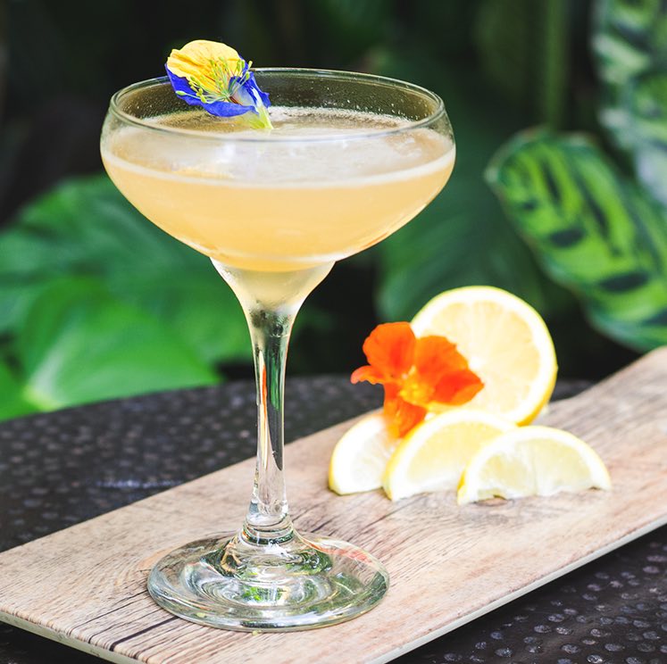 yellow cocktail