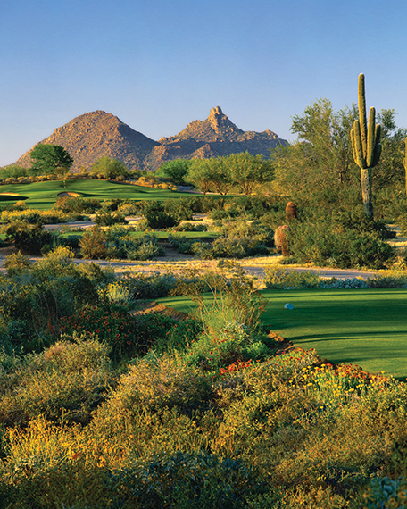 Sonora Desert Golf Course
