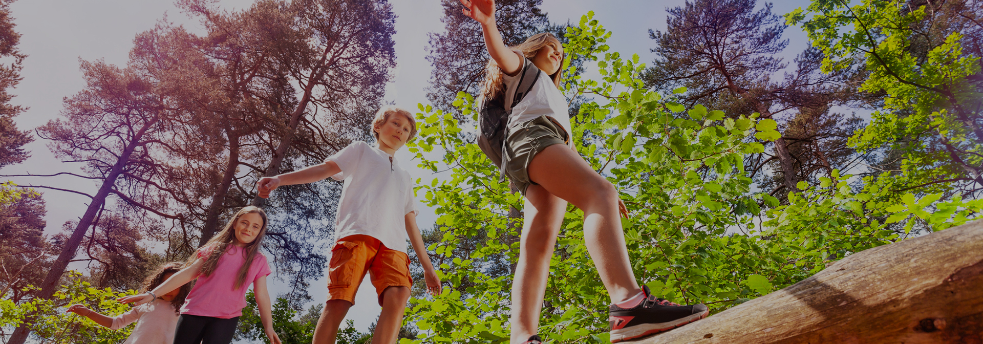 kids walking across a log during the day