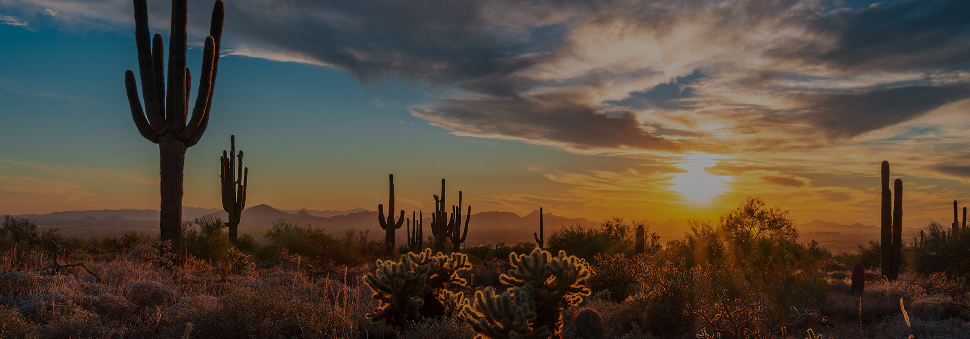 the desert at sunset