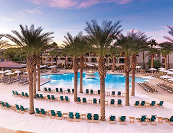 panoramic view of the pool and the deck with lounge chairs and tall palm trees