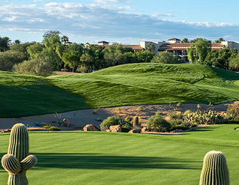 view of the golf course with small bushes and cacti near the green