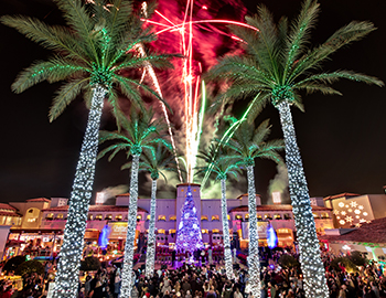 palm trees decorated with Christmas lights and fireworks in the background