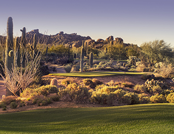 desert golf course in arizona