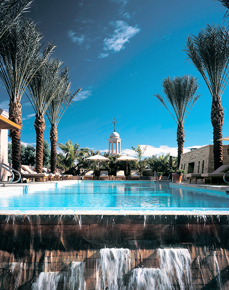rooftop pool surrounded palm trees